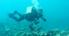 Scuba diving in Madagascar