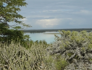 Tsimanampesotse Landscape 